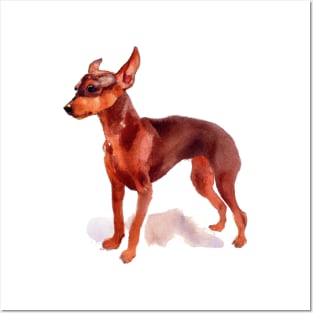 Watercolor Miniature Pinscher - Dog Lovers Posters and Art